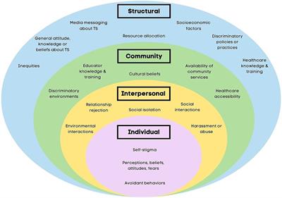 Study protocol for measuring stigmatization in persistent tic disorders: development and validation of the Tourette discrimination-stigmatization scale